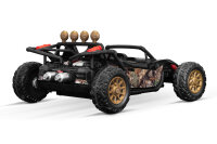 Beach Rider 2-Sitzer 2x120W 12V/12Ah Offroad Buggy